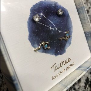 Taurus  ♉️ Earring Set Silver Plated